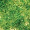 Bachmann Foliage Light Green - Medium 2 Bachmann Foliage Light Green - Medium -Bachmann shop 32602