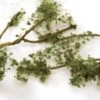 Bachmann Wire Foliage Branches - Medium Green -Bachmann shop 32644