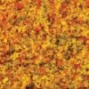 Bachmann Turf Blend Early Fall - Medium -Bachmann shop 32836