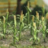 Bachmann Corn Stalks - 1" Tall (30 Per Pack) -Bachmann shop BAC32501