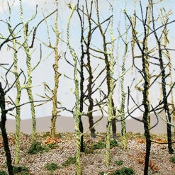 Bachmann Wood's Edge Trees - Bare (14 Per Pack)